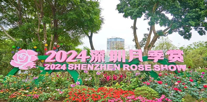 2024深圳人民公园月季花展要门票吗？